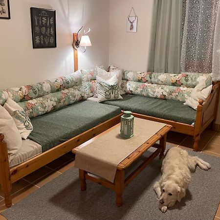 Hundefreundliche Bergwohnung Neben Der Skipiste - Mittelstation Skigebiet Gerlitzen Kanzelhohe المظهر الخارجي الصورة