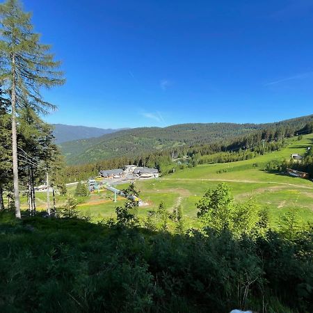 Hundefreundliche Bergwohnung Neben Der Skipiste - Mittelstation Skigebiet Gerlitzen Kanzelhohe المظهر الخارجي الصورة
