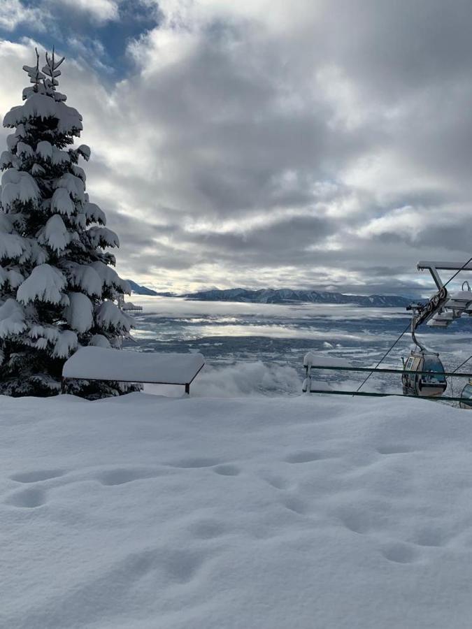 Hundefreundliche Bergwohnung Neben Der Skipiste - Mittelstation Skigebiet Gerlitzen Kanzelhohe المظهر الخارجي الصورة