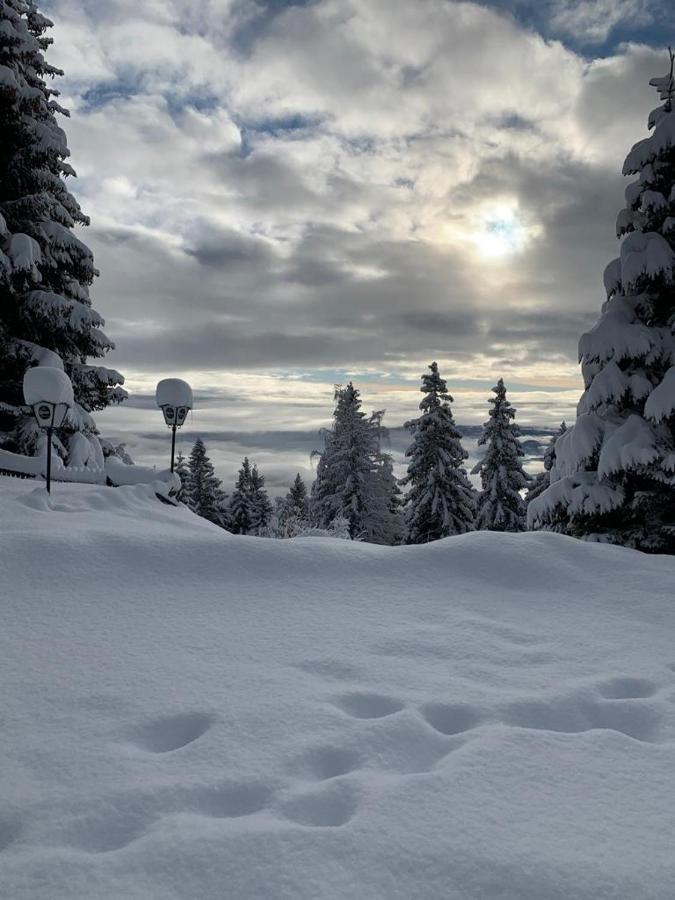 Hundefreundliche Bergwohnung Neben Der Skipiste - Mittelstation Skigebiet Gerlitzen Kanzelhohe المظهر الخارجي الصورة