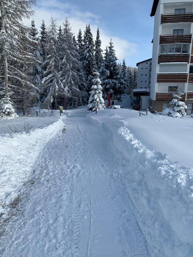 Hundefreundliche Bergwohnung Neben Der Skipiste - Mittelstation Skigebiet Gerlitzen Kanzelhohe المظهر الخارجي الصورة