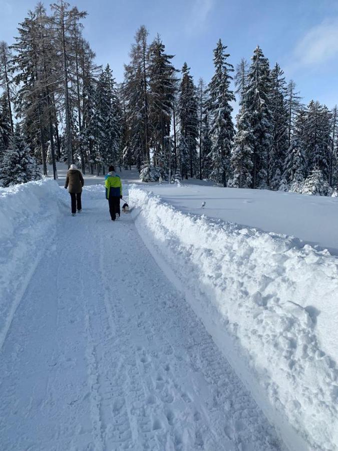 Hundefreundliche Bergwohnung Neben Der Skipiste - Mittelstation Skigebiet Gerlitzen Kanzelhohe المظهر الخارجي الصورة