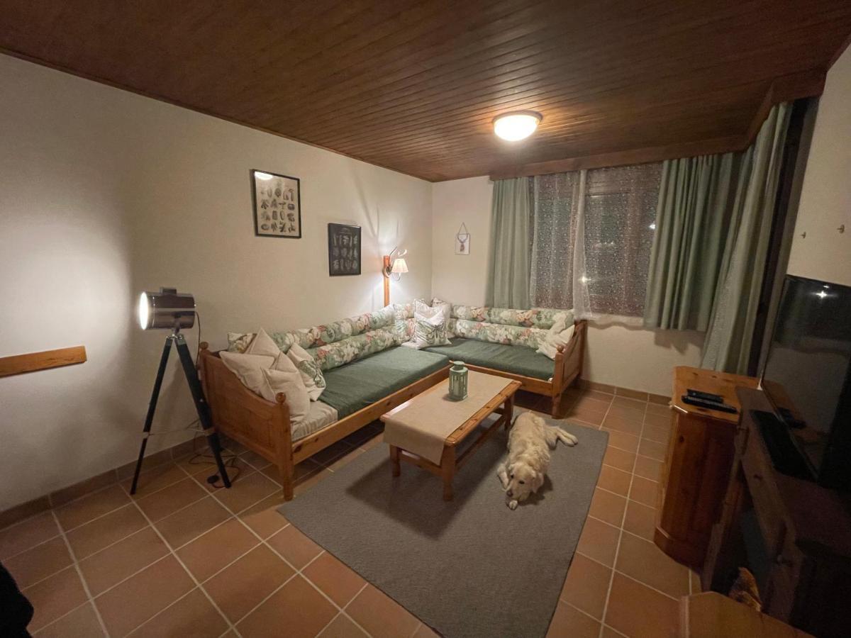 Hundefreundliche Bergwohnung Neben Der Skipiste - Mittelstation Skigebiet Gerlitzen Kanzelhohe المظهر الخارجي الصورة