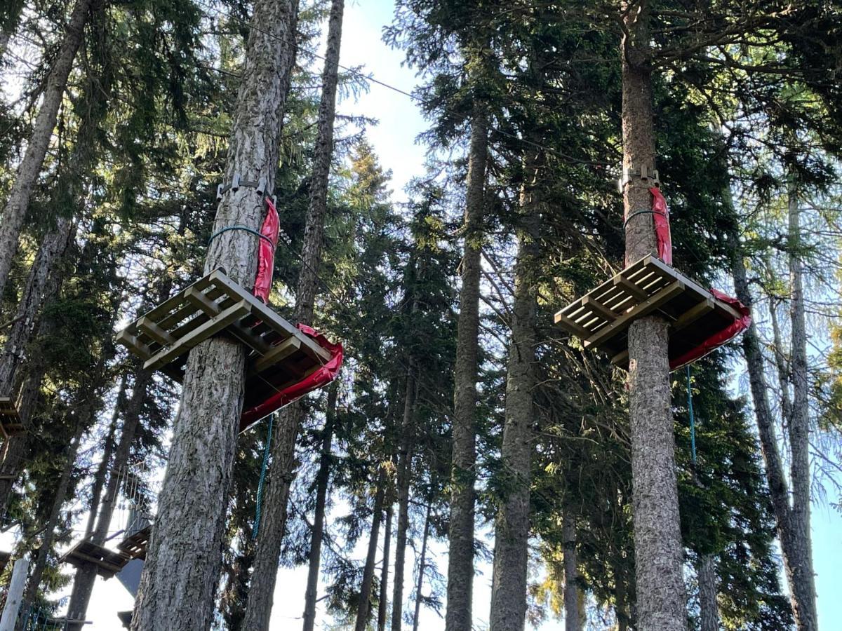 Hundefreundliche Bergwohnung Neben Der Skipiste - Mittelstation Skigebiet Gerlitzen Kanzelhohe المظهر الخارجي الصورة