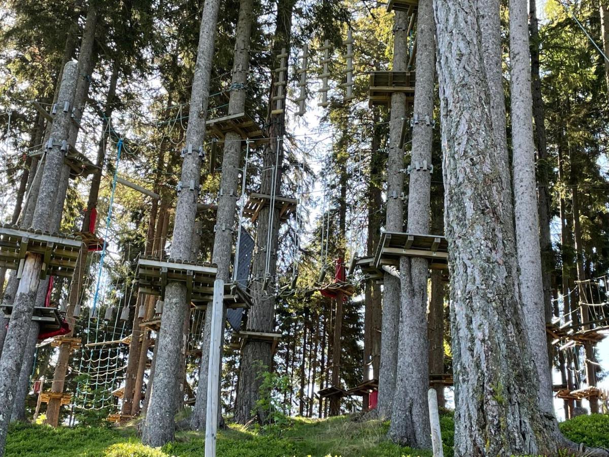 Hundefreundliche Bergwohnung Neben Der Skipiste - Mittelstation Skigebiet Gerlitzen Kanzelhohe المظهر الخارجي الصورة